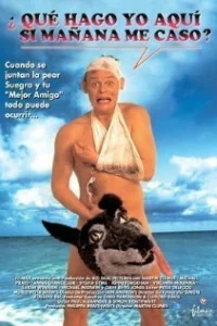  Особенности холостяцкой вечеринки 