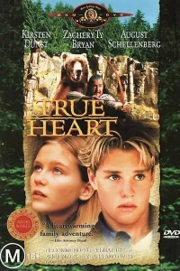  Верное сердце 