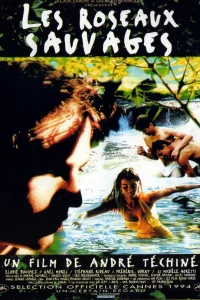  Дикий тростник 